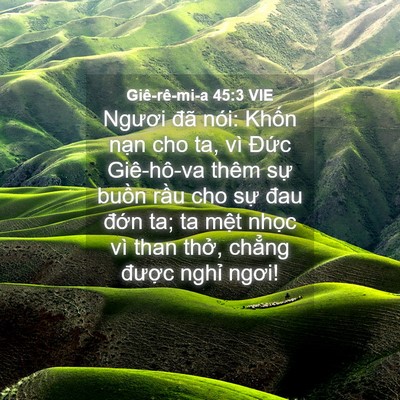 Picture 04 - Giê-rê-mi-a 45:3 VIE - Ngươi đã nói: Khốn nạn cho ta, vì - Bible Verse Picture