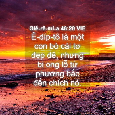 Picture 04 - Giê-rê-mi-a 46:20 VIE - Ê-díp-tô là một con bò cái tơ đẹp - Bible Verse Picture