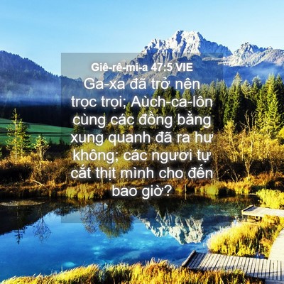 Picture 04 - Giê-rê-mi-a 47:5 VIE - Ga-xa đã trở nên trọc trọi; - Bible Verse Picture
