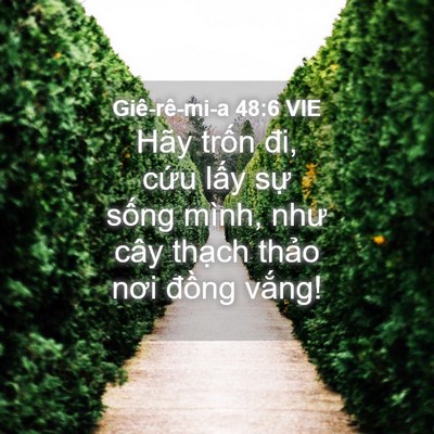 Picture 04 - Giê-rê-mi-a 48:6 VIE - Hãy trốn đi, cứu lấy sự sống mình, - Bible Verse Picture