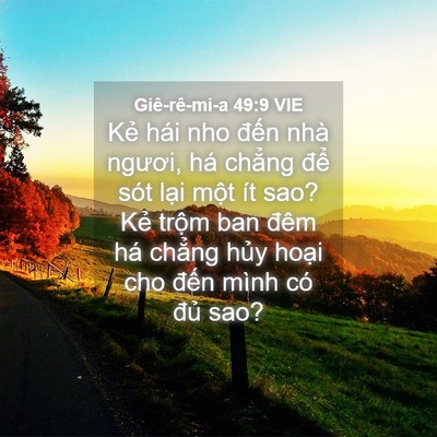 Picture 04 - Giê-rê-mi-a 49:9 VIE - Kẻ hái nho đến nhà ngươi, há chẳng - Bible Verse Picture