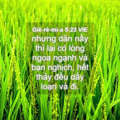 Picture 04 - Giê-rê-mi-a 5:23 VIE - nhưng dân nầy thì lại có lòng ngoa - Bible Verse Picture