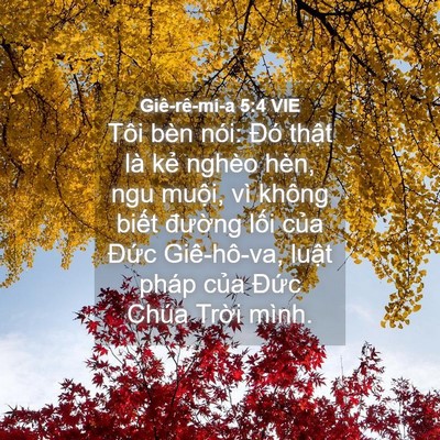 Picture 04 - Giê-rê-mi-a 5:4 VIE - Tôi bèn nói: Đó thật là kẻ nghèo hèn, - Bible Verse Picture