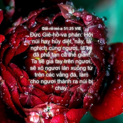 Picture 04 - Giê-rê-mi-a 51:25 VIE - Đức Giê-hô-va phán: Hỡi núi hay hủy - Bible Verse Picture