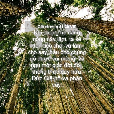 Picture 04 - Giê-rê-mi-a 51:39 VIE - Khi chúng nó càng nóng nảy lắm, ta sẽ - Bible Verse Picture