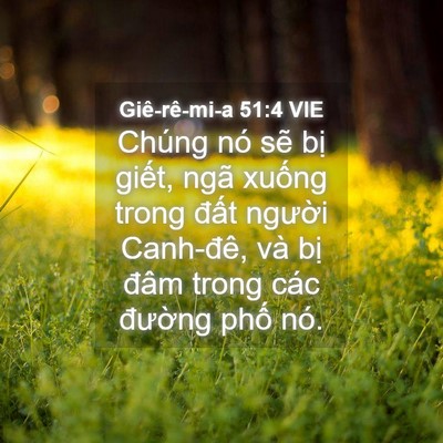 Picture 04 - Giê-rê-mi-a 51:4 VIE - Chúng nó sẽ bị giết, ngã xuống trong - Bible Verse Picture