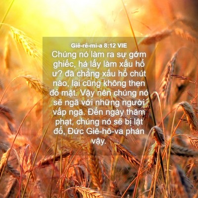 Picture 04 - Giê-rê-mi-a 8:12 VIE - Chúng nó làm ra sự gớm ghiếc, há lấy - Bible Verse Picture