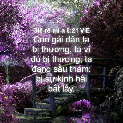 Picture 04 - Giê-rê-mi-a 8:21 VIE - Con gái dân ta bị thương, ta vì đó bị - Bible Verse Picture