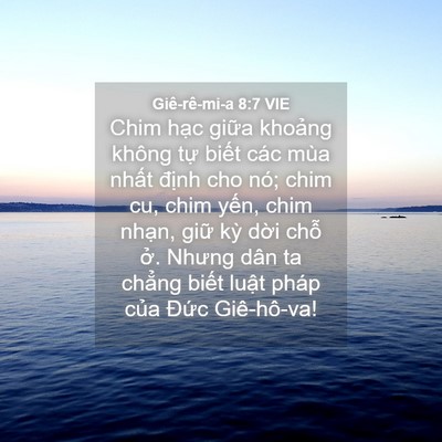 Picture 04 - Giê-rê-mi-a 8:7 VIE - Chim hạc giữa khoảng không tự biết - Bible Verse Picture