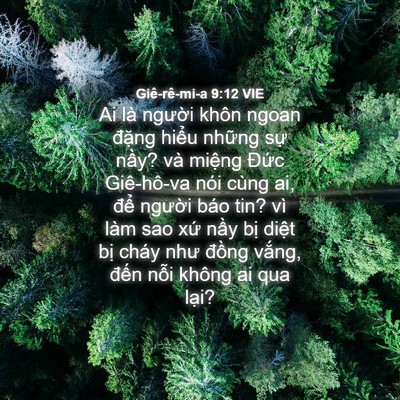 Picture 04 - Giê-rê-mi-a 9:12 VIE - Ai là người khôn ngoan đặng hiểu - Bible Verse Picture