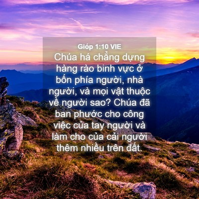 Picture 04 - Gióp 1:10 VIE - Chúa há chẳng dựng hàng rào binh vực - Bible Verse Picture