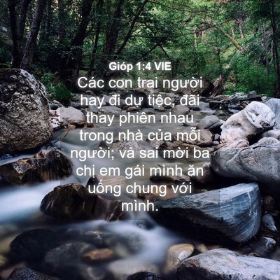 Picture 04 - Gióp 1:4 VIE - Các con trai người hay đi dự tiệc, đãi - Bible Verse Picture