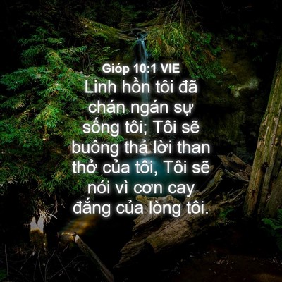 Picture 04 - Gióp 10:1 VIE - Linh hồn tôi đã chán ngán sự sống - Bible Verse Picture