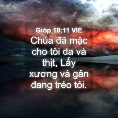 Picture 04 - Gióp 10:11 VIE - Chúa đã mặc cho tôi da và thịt, Lấy - Bible Verse Picture