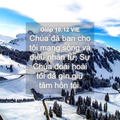 Picture 04 - Gióp 10:12 VIE - Chúa đã ban cho tôi mạng sống và điều - Bible Verse Picture