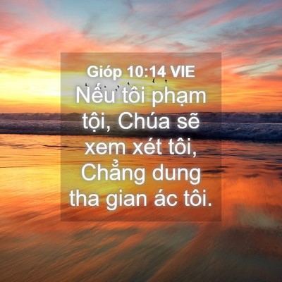 Picture 04 - Gióp 10:14 VIE - Nếu tôi phạm tội, Chúa sẽ xem xét - Bible Verse Picture
