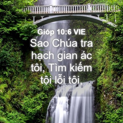 Picture 04 - Gióp 10:6 VIE - Sao Chúa tra hạch gian ác tôi, Tìm kiếm - Bible Verse Picture