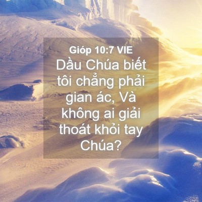 Picture 04 - Gióp 10:7 VIE - Dầu Chúa biết tôi chẳng phải gian ác, - Bible Verse Picture
