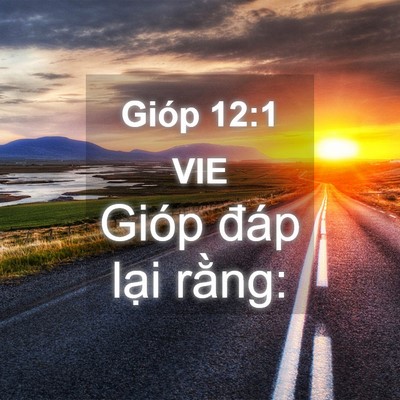 Picture 04 - Gióp 12:1 VIE - Gióp đáp lại - Bible Verse Picture