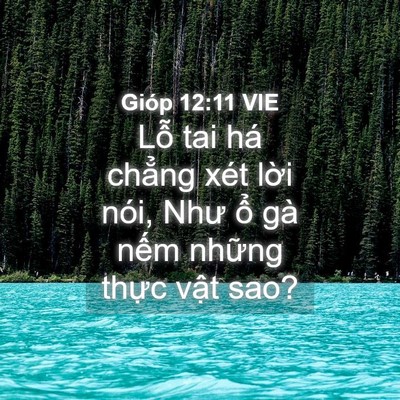 Picture 04 - Gióp 12:11 VIE - Lỗ tai há chẳng xét lời nói, Như ổ - Bible Verse Picture