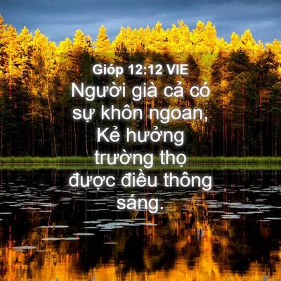 Picture 04 - Gióp 12:12 VIE - Người già cả có sự khôn ngoan, Kẻ - Bible Verse Picture