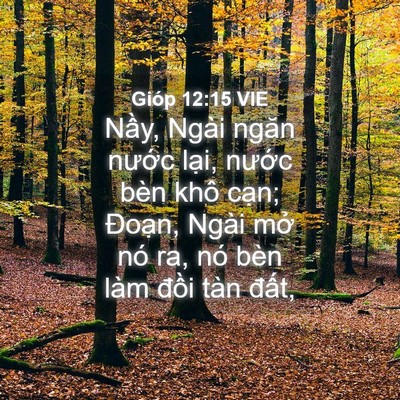 Picture 04 - Gióp 12:15 VIE - Nầy, Ngài ngăn nước lại, nước bèn - Bible Verse Picture