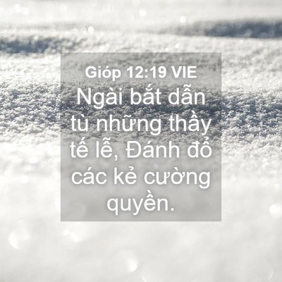 Picture 04 - Gióp 12:19 VIE - Ngài bắt dẫn tù những thầy tế lễ, - Bible Verse Picture