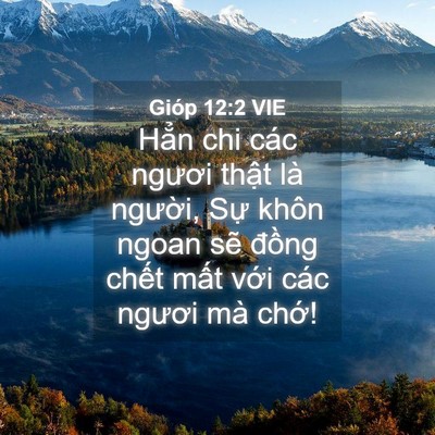 Picture 04 - Gióp 12:2 VIE - Hẳn chi các ngươi thật là người, Sự - Bible Verse Picture