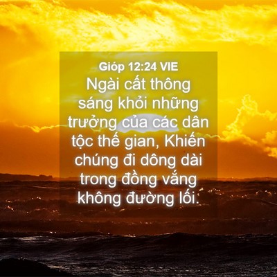 Picture 04 - Gióp 12:24 VIE - Ngài cất thông sáng khỏi những trưởng - Bible Verse Picture