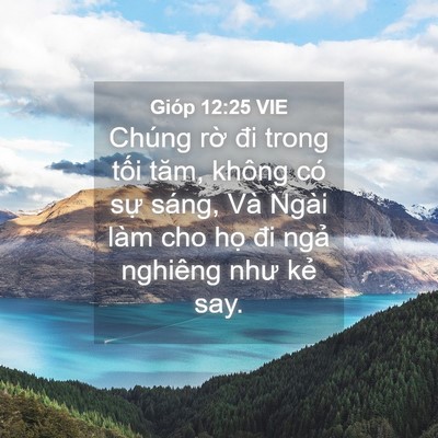 Picture 04 - Gióp 12:25 VIE - Chúng rờ đi trong tối tăm, không có sự - Bible Verse Picture