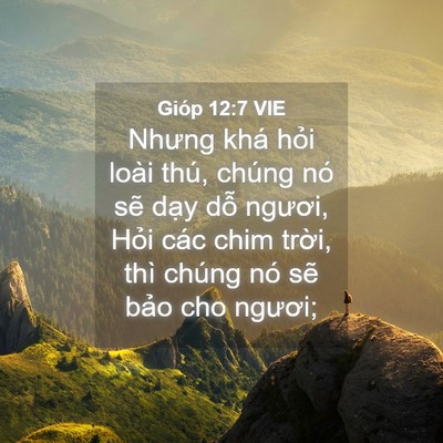 Picture 04 - Gióp 12:7 VIE - Nhưng khá hỏi loài thú, chúng nó sẽ - Bible Verse Picture