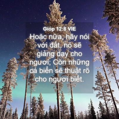 Picture 04 - Gióp 12:8 VIE - Hoặc nữa, hãy nói với đất, nó sẽ - Bible Verse Picture