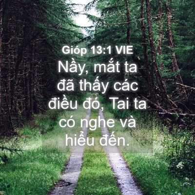 Picture 04 - Gióp 13:1 VIE - Nầy, mắt ta đã thấy các điều đó, - Bible Verse Picture