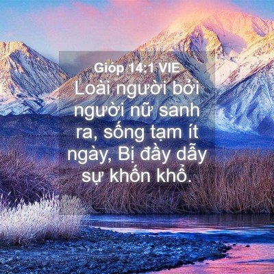 Picture 04 - Gióp 14:1 VIE - Loài người bởi người nữ sanh ra, - Bible Verse Picture