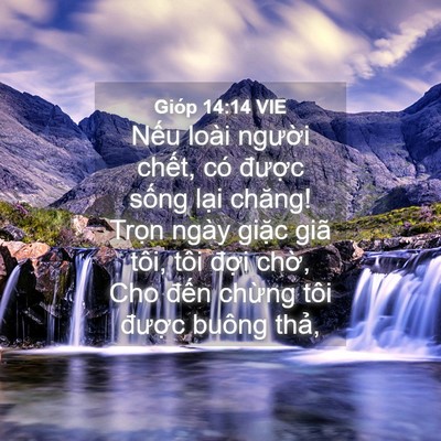 Picture 04 - Gióp 14:14 VIE - Nếu loài người chết, có được sống - Bible Verse Picture