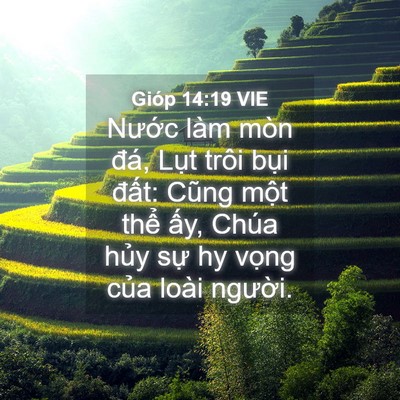 Picture 04 - Gióp 14:19 VIE - Nước làm mòn đá, Lụt trôi bụi đất: - Bible Verse Picture