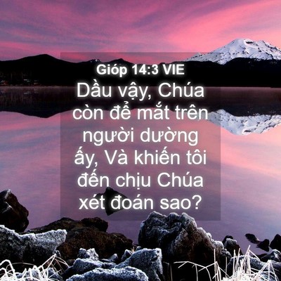 Picture 04 - Gióp 14:3 VIE - Dầu vậy, Chúa còn để mắt trên - Bible Verse Picture