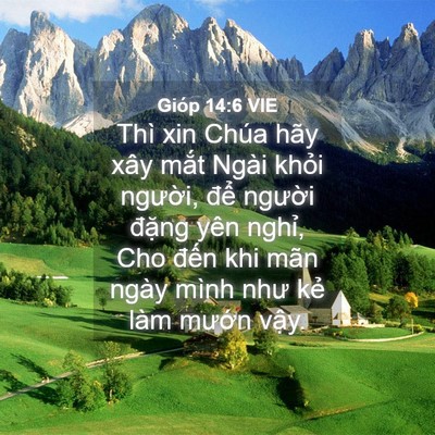 Picture 04 - Gióp 14:6 VIE - Thì xin Chúa hãy xây mắt Ngài khỏi - Bible Verse Picture