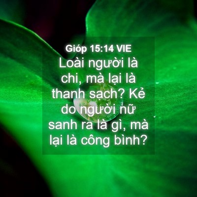 Picture 04 - Gióp 15:14 VIE - Loài người là chi, mà lại là thanh - Bible Verse Picture