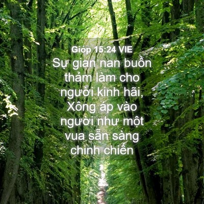 Picture 04 - Gióp 15:24 VIE - Sự gian nan buồn thảm làm cho người - Bible Verse Picture