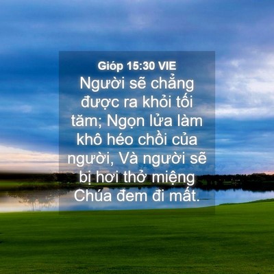 Picture 04 - Gióp 15:30 VIE - Người sẽ chẳng được ra khỏi tối - Bible Verse Picture