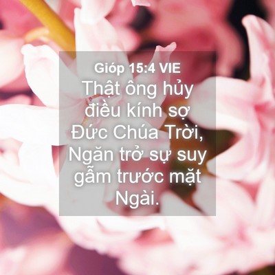 Picture 04 - Gióp 15:4 VIE - Thật ông hủy điều kính sợ Đức Chúa - Bible Verse Picture