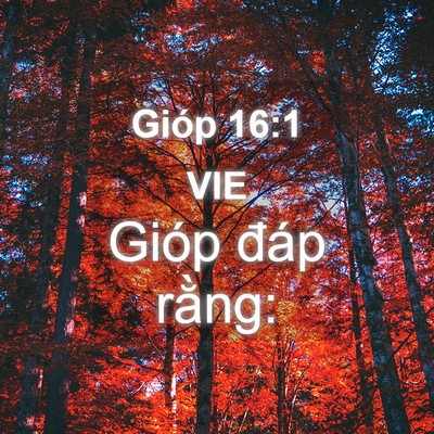 Picture 04 - Gióp 16:1 VIE - Gióp đáp - Bible Verse Picture