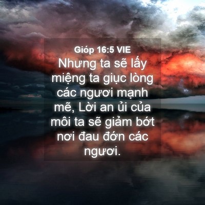 Picture 04 - Gióp 16:5 VIE - Nhưng ta sẽ lấy miệng ta giục lòng các - Bible Verse Picture
