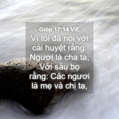 Picture 04 - Gióp 17:14 VIE - Vì tôi đã nói với cái huyệt rằng: - Bible Verse Picture