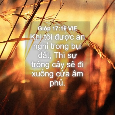 Picture 04 - Gióp 17:16 VIE - Khi tôi được an nghỉ trong bụi đất, - Bible Verse Picture