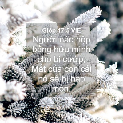 Picture 04 - Gióp 17:5 VIE - Người nào nộp bằng hữu mình cho bị - Bible Verse Picture