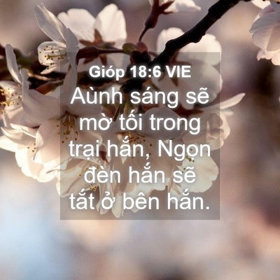 Picture 04 - Gióp 18:6 VIE - Aùnh sáng sẽ mờ tối trong trại hắn, - Bible Verse Picture