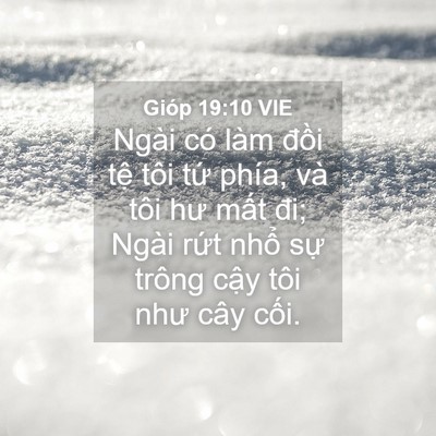Picture 04 - Gióp 19:10 VIE - Ngài có làm đồi tệ tôi tứ phía, và - Bible Verse Picture