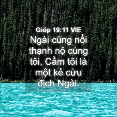 Picture 04 - Gióp 19:11 VIE - Ngài cũng nổi thạnh nộ cùng tôi, Cầm - Bible Verse Picture